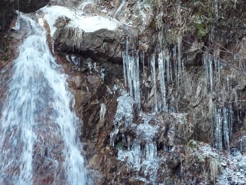 冬の川上の滝