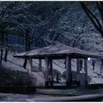 奨励賞　雪の下山口公園　野垣美桜