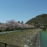 丸山と金仙寺湖