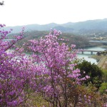 南参道から金仙寺湖の眺望