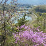 南参道途中金仙寺湖の眺望
