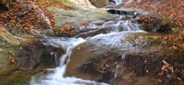 特選 「晩秋の十八丁川」
