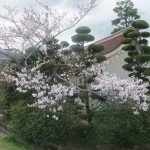 城の垣内稲荷神社
