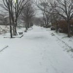 雪の有馬川緑道