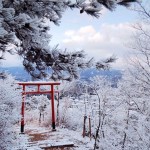 中兵庫信用金庫賞　山口　年代　丸山早朝の雪景色
