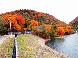 金仙寺湖畔から紅葉の丸山