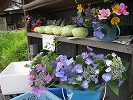 野菜や切り花の直売所