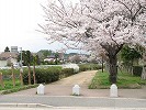 有馬川緑道