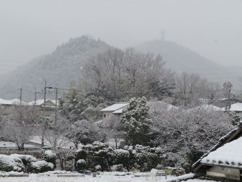 上山口2月11日積雪1